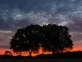 Bliźniacze płomienie: co się stanie, gdy jedno z nich odejdzie?