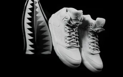 Air Jordan 5 Retro Premium Pure Platinum - Ceny i dostępność w 2023