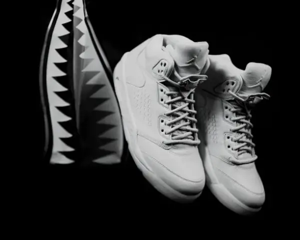 Air Jordan 5 Retro Premium Pure Platinum - Ceny i dostępność w 2023