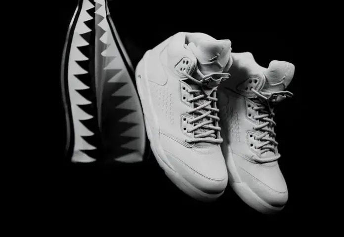 Air Jordan 5 Retro Premium Pure Platinum - Ceny i dostępność w 2023